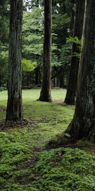 比叡山延暦寺