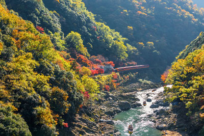 京都嵯峨野觀光小火車與保津川遊船之旅