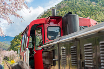 嵯峨野觀光小火車單程票