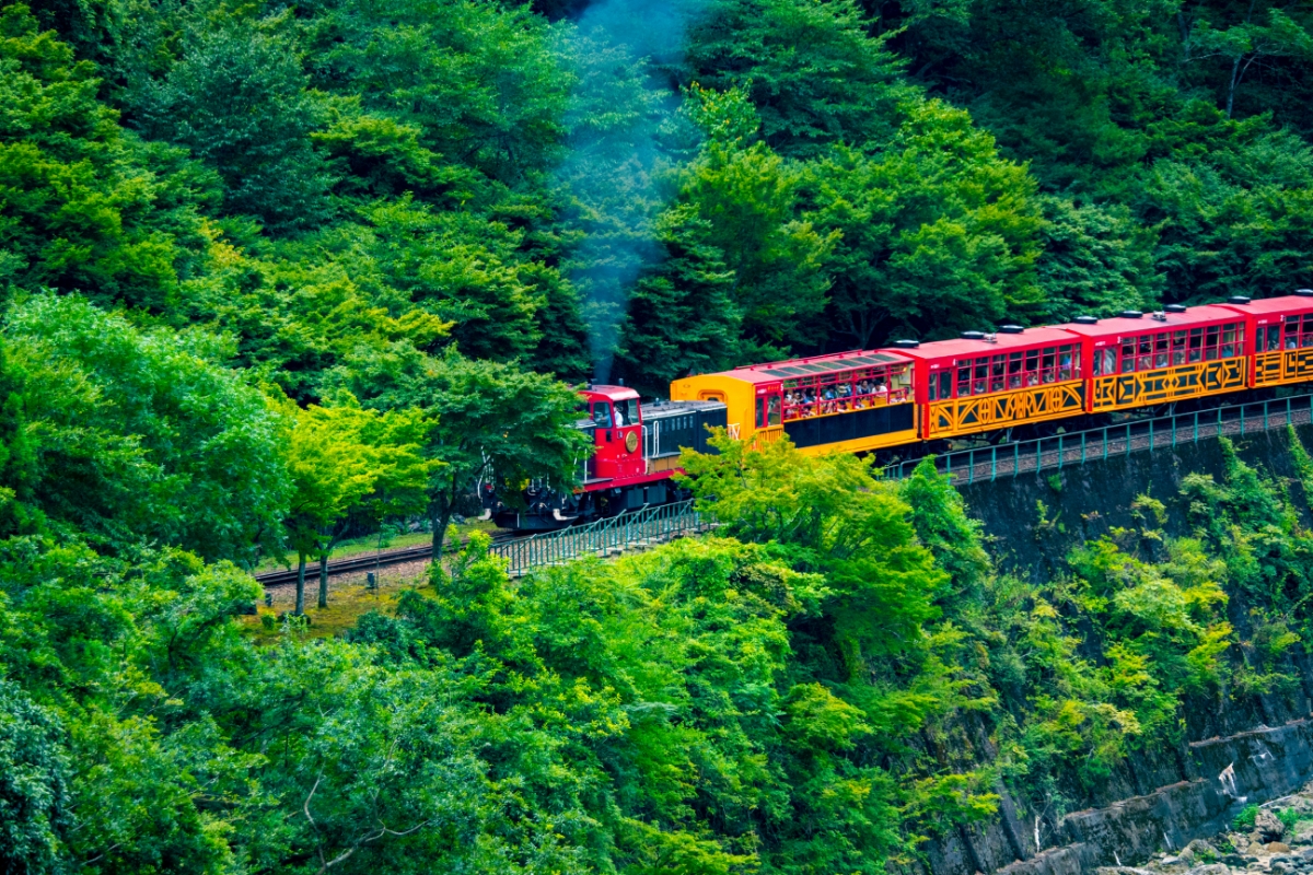 Kyoto Nature Experience