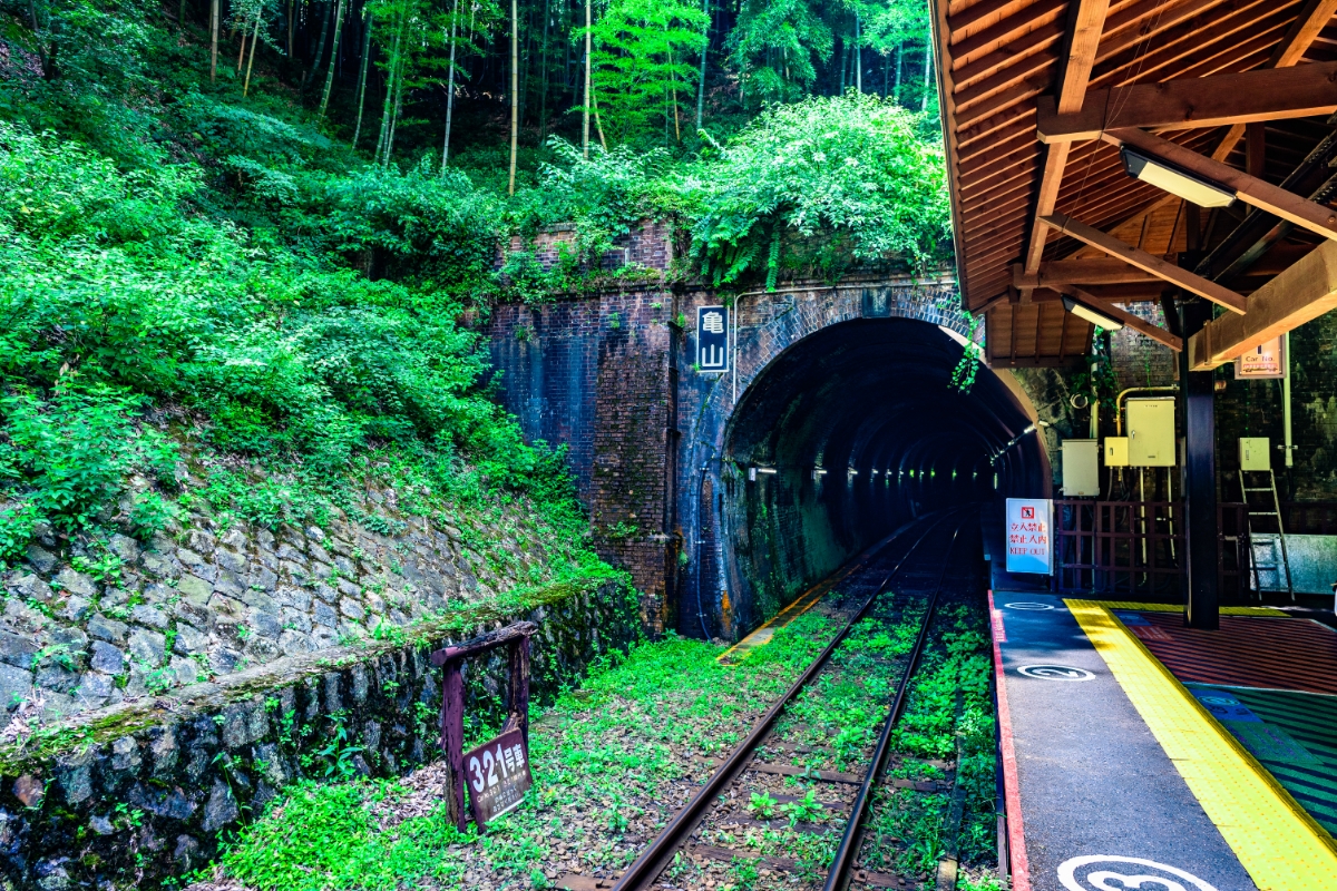 Kyoto Nature Experience