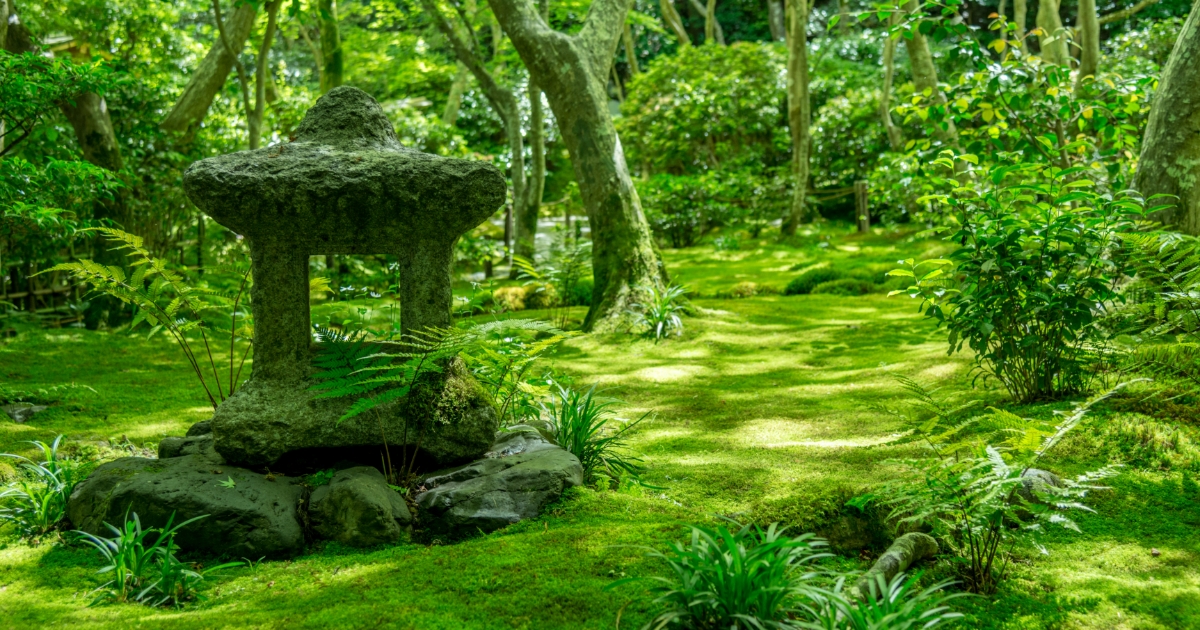 SE D PLACER KYOTO visual data 3