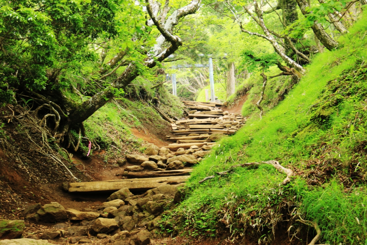 Shrine and Temple Tours