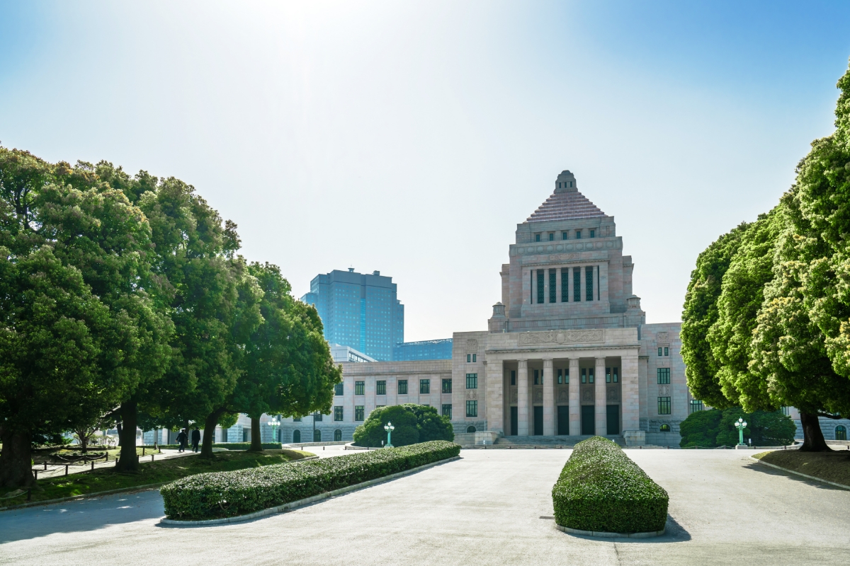 Tokyo Walking Experience