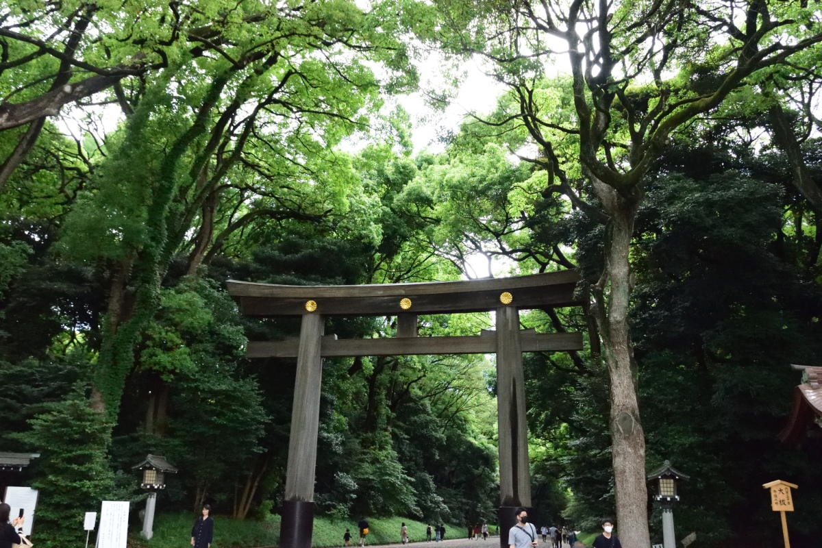 Tokyo Walking Experience